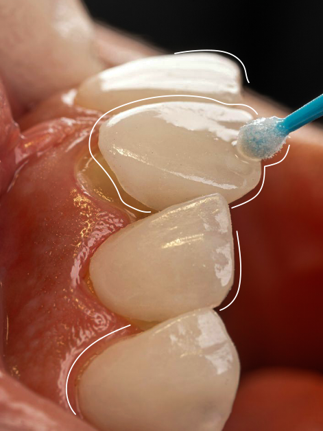 Diana Pulgarín Dental Group - Sobre la clínica